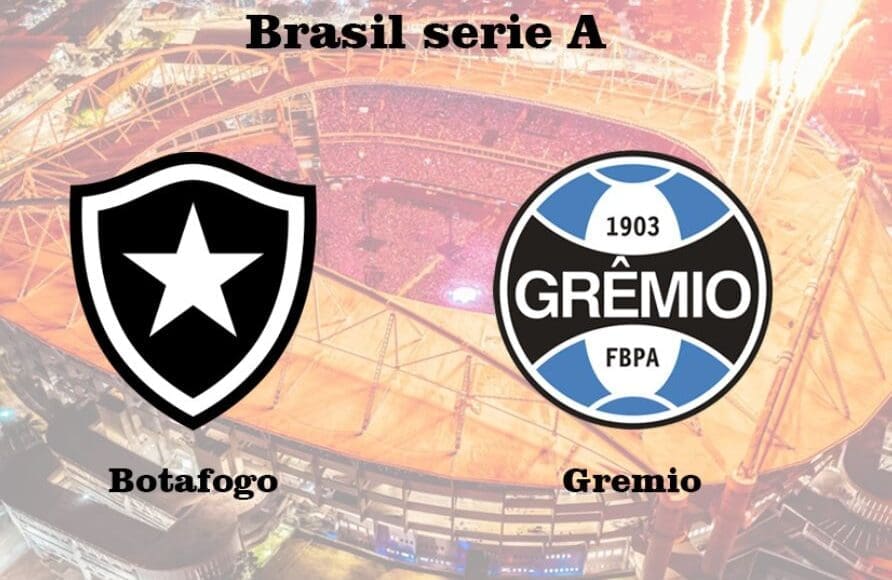 Botafogo contra Grêmio – Liga Brasil – 22 de Noviembre 2025 – 19:30 horas