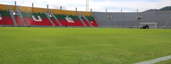 Estadio. Tolima contra Coquimbo Unido