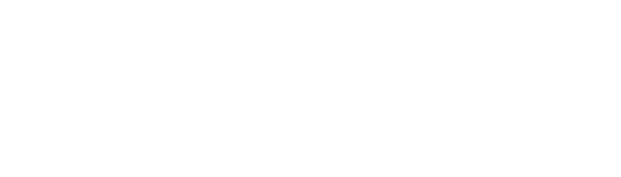 Logo Stake transparente